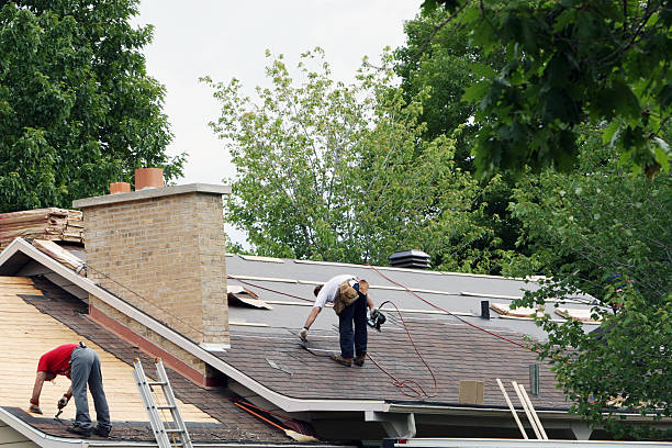 Best Storm Damage Roof Repair  in Wyomissing, PA
